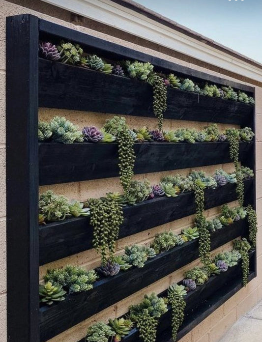 Wall planter frame