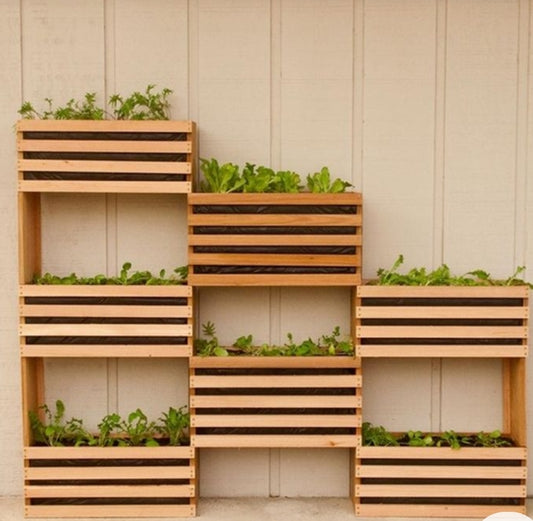 Modern Wall planters